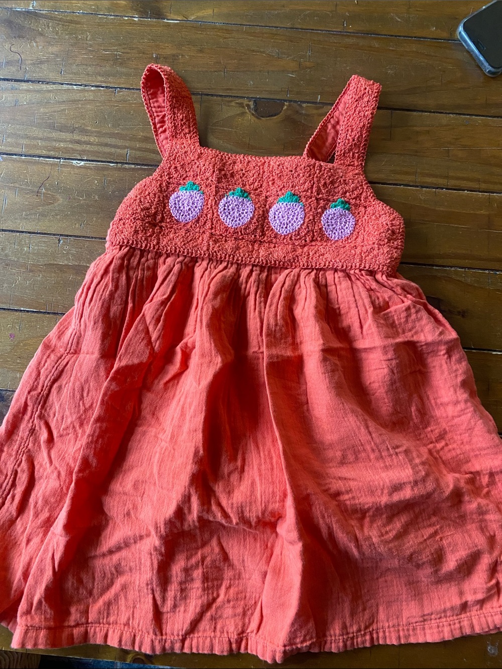 Hanna Andersson Coral Dress with Purple Berry Embroidery